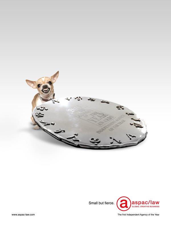 aspac-law-manila-fierce-chihuahua-small-13107