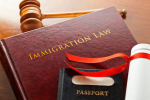 immigratio law