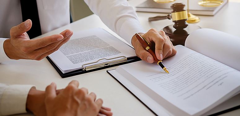 professional lawyer